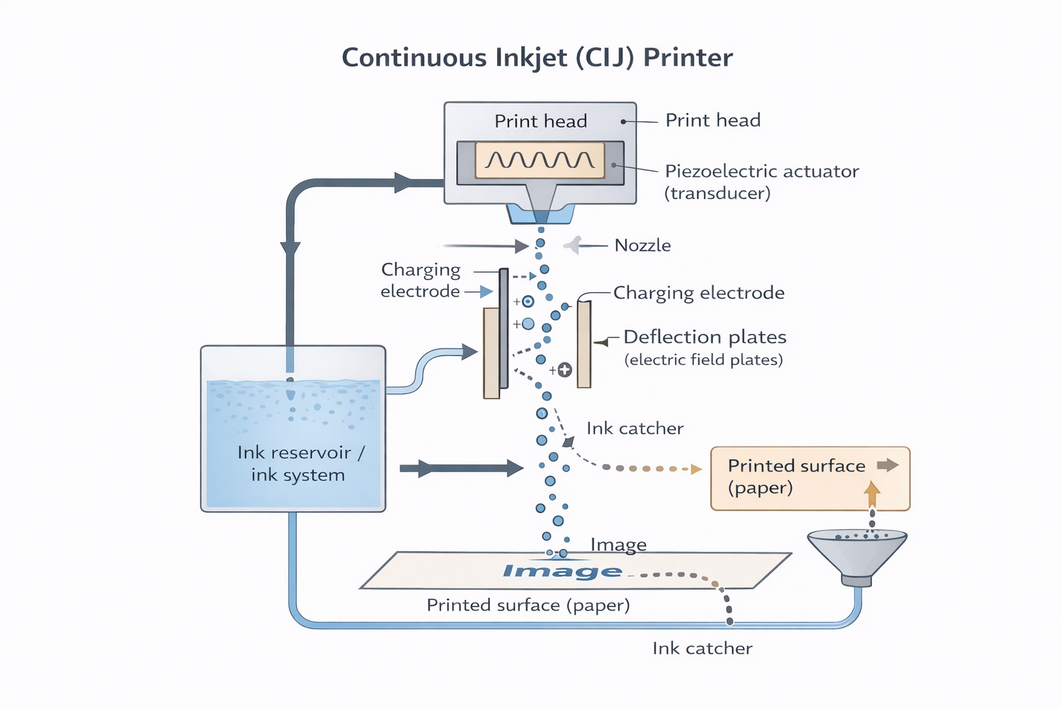 Diagram showing how an inkjet printer works with print head, nozzles, and ink cartridges